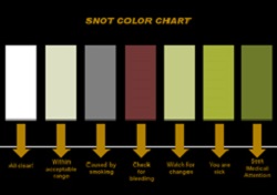 snot colour chart