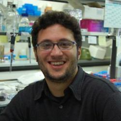 Dr Nunzio  Iraci