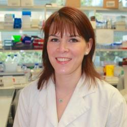 Dr Lori  Turner