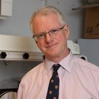 Professor  Patrick   Maxwell