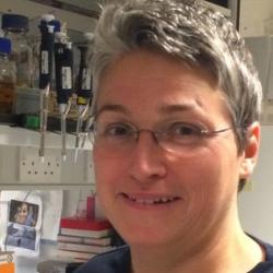 Dr Lucy  Truman