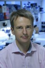 Prof. Arthur Kaser's picture