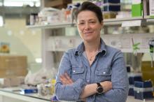 Dr Menna Clatworthy's picture