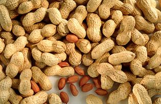 Peanut Allergy Trial