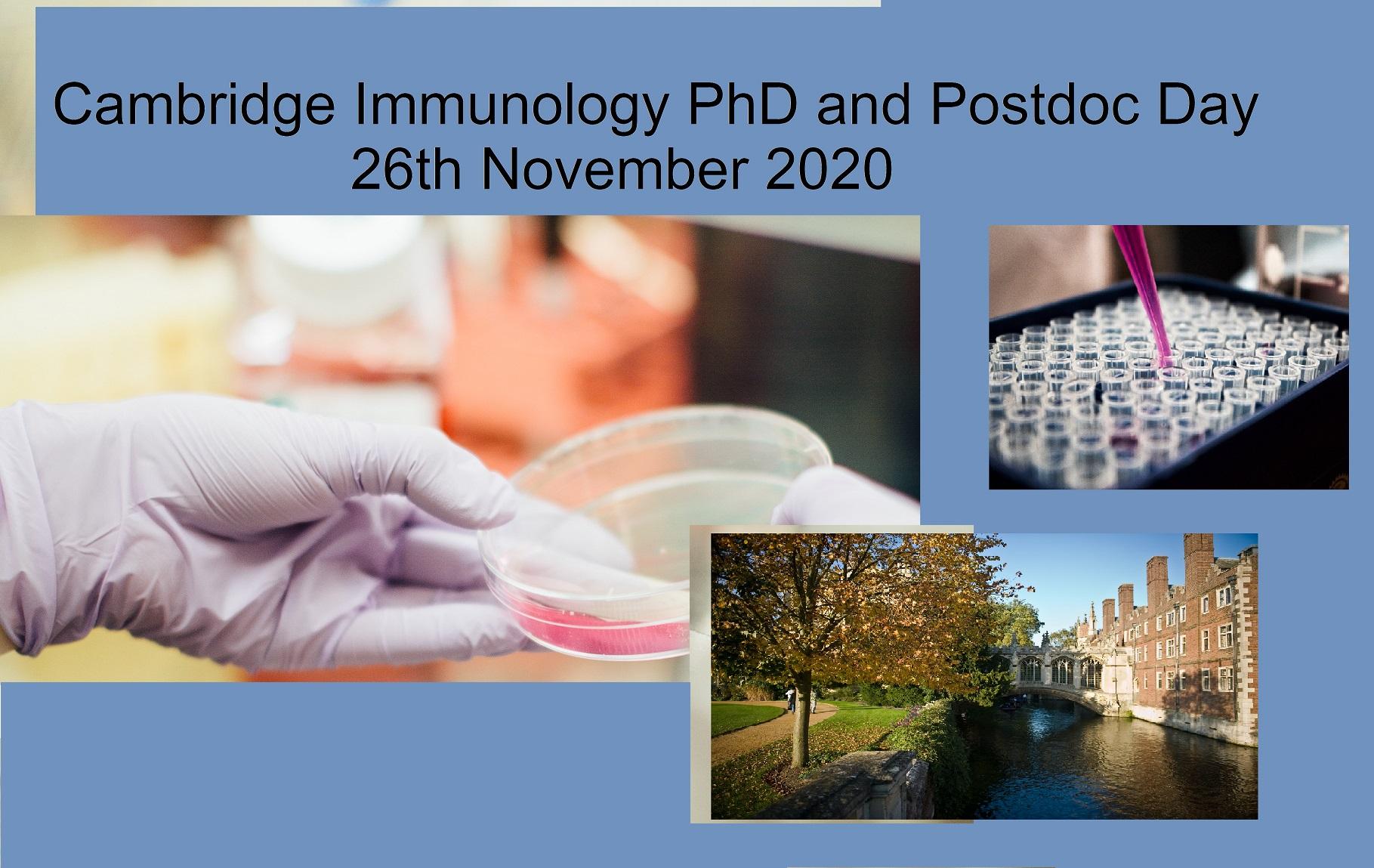 university of cambridge phd immunology